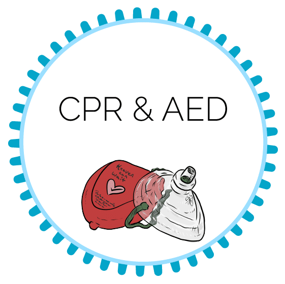 Standard First Aid Recertification with Basic Life Support (BLS) CPR ...